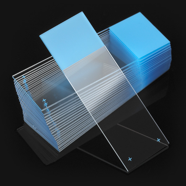 medical slides